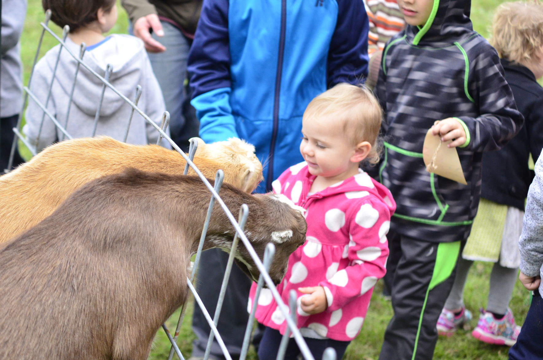10-6-19 Prairie Loft HarvestFest (20).JPG